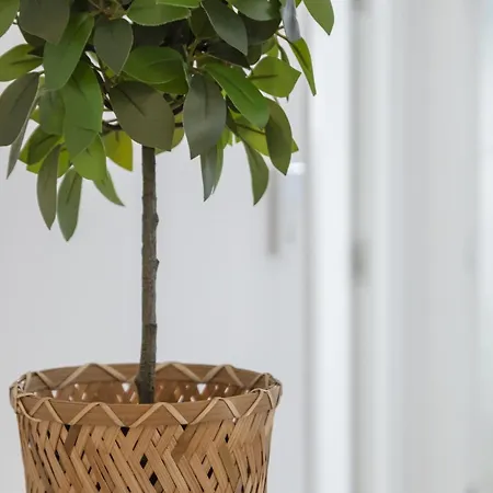 Ag Voramar Apartmán *